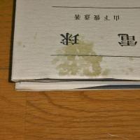 電球