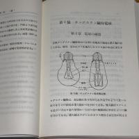 電球