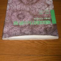 蠟纈絞りの世界 : 作品とその技法