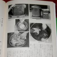 蠟纈絞りの世界 : 作品とその技法