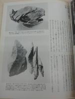 旧石器時代　<日本の美術　No.188>