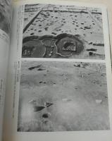 草戸千軒町遺跡　<日本の美術　No.215>