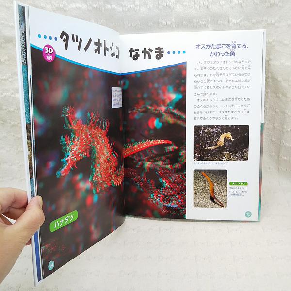 3dうみのいきものずかん びっくり ページからババーンととびだす 小林安雅 写真 こばやしまさこ 文 ぶっくいん高知 古書部 古本 中古本 古書籍の通販は 日本の古本屋 日本の古本屋