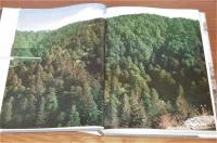 魚梁瀬千本山保護林