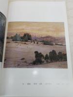 四国の洋画家たち : 四国四県提携企画展