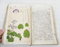 家庭造花術全書