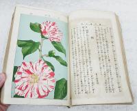 家庭造花術全書