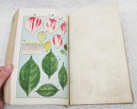 家庭造花術全書