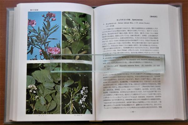 Amazon.co.jp: 希少 彩色写生図 日本の薬用植物 高取治輔 廣川