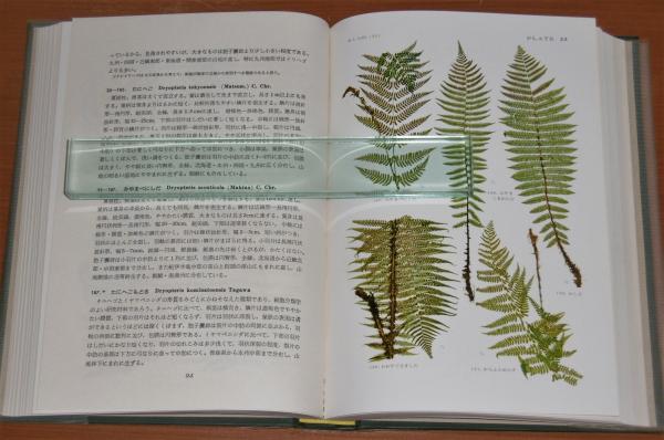 原色日本羊歯植物図鑑 田川基二 著 古本 中古本 古書籍の通販は 日本の古本屋 日本の古本屋