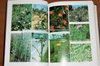 原色日本帰化植物図鑑