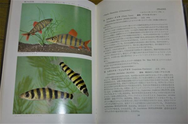 原色熱帯魚図鑑 正続2冊 原色図鑑 と27 牧野信司 古本 中古本 古書籍の通販は 日本の古本屋 日本の古本屋 原色熱帯魚図鑑 正続2冊 原色図鑑 と27 牧野信司 古本 中古本 古書籍の通販は 日本の古本屋 日本の古本屋