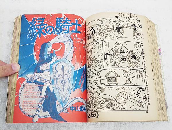 プリンセスゴールド 1981 昭和56年 7/25増刊 総集「エロイカより愛を