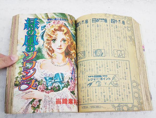 プリンセスゴールド 1981 昭和56年 7/25増刊 総集「エロイカより愛を