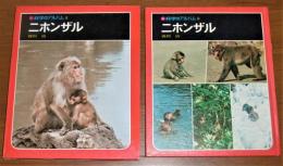 「ニホンザル」　科学のアルバム　(日本猿)