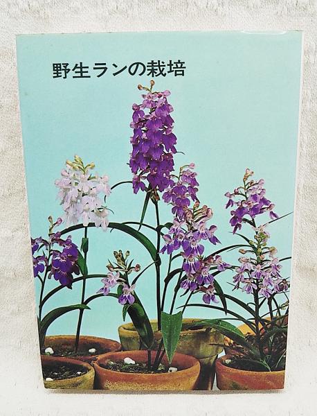 野生ランの栽培(鈴木吉五郎 著) / 古本、中古本、古書籍の通販は 野生ランの栽培(鈴木吉五郎 著) / 古本、中古本、古書籍の通販は