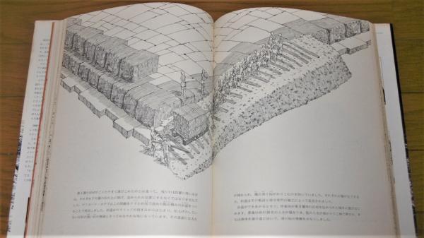 ピラミッド : 巨大な王墓建設の謎を解く(デビッド・マコーレイ 作