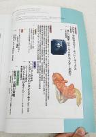 芸術新潮　1989年1月号 大特集：大名美術 趣味・学芸に生きがいを求めた文化大名たちを追う もう一つの江戸学