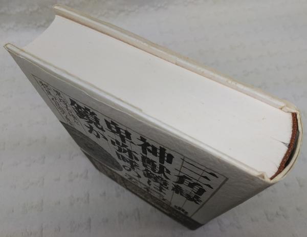 三角縁神獣鏡は卑弥呼の鏡か 黒塚古墳と邪馬台国の真実 安本美典 著 ぶっくいん高知 古書部 古本 中古本 古書籍の通販は 日本の古本屋 日本の古本屋