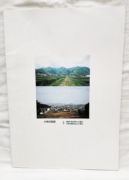 藤堂藩の研究 論考編　藤田 達生 / 三重大学歴史研究会　 卒論・研究向き 藤堂藩の研究 論考編 | 藤田 達生, 三重大学歴史研究会 |本