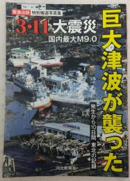 巨大津波が襲った3・11大震災 : 発生から10日間の記録 : 緊急出版特別報道写真集