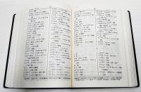 日本語発音アクセント辞典