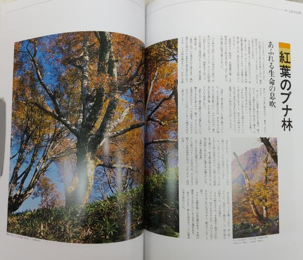 探索 土佐の自然(高知新聞社[編]) / 古本、中古本、古書籍の通販