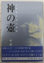 神の壷 : 土佐竜河洞の感動