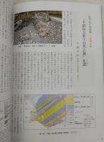 サンゴたちの楽園：土佐・大手の浜の自然