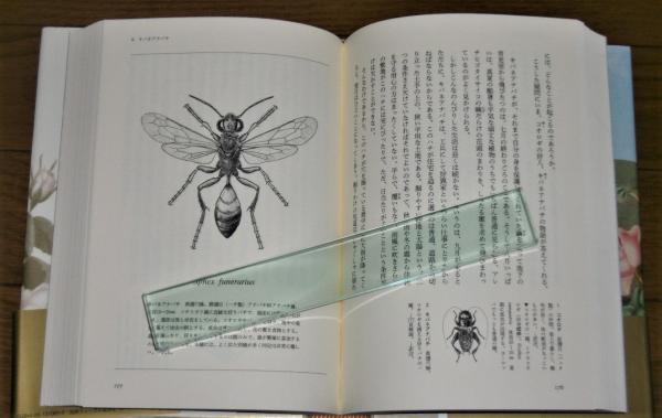 完訳 ファーブル昆虫記 (ジャン=アンリ・ファーブル 著 ; 奥本大三郎