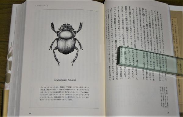完訳 ファーブル昆虫記 (ジャン=アンリ・ファーブル 著 ; 奥本大三郎