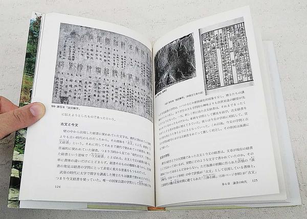 図説漢字の歴史(阿辻哲次 著) / 古本、中古本、古書籍の通販は「日本の