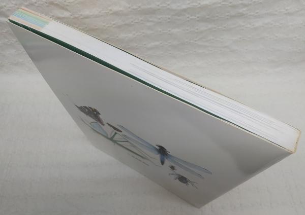 今森光彦昆虫記(今森光彦 著) / ぶっくいん高知 古書部 / 古本 今森光彦昆虫記(今森光彦 著) / ぶっくいん高知 古書部 / 古本