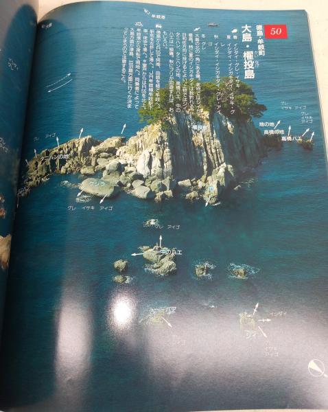 四国の海釣り 航空写真で見るbest Fishing Point 古本 中古本 古書籍の通販は 日本の古本屋 日本の古本屋