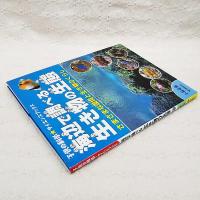 海辺で調べる生き物の生態 : さまざまな環境と生き物のくらし