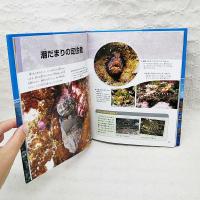 海辺で調べる生き物の生態 : さまざまな環境と生き物のくらし
