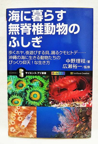 海に暮らす無脊椎動物のふしぎ 歩くホヤ 夜遊びする貝 踊るクモヒトデ 沖縄の海に生きる動物たちのびっくり仰天 な生き方 中野理枝 著 広瀬裕一 監修 ぶっくいん高知 古書部 古本 中古本 古書籍の通販は 日本の古本屋 日本の古本屋