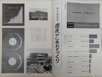 県民グラフ　No.141　(防災と福祉の年：県民のしあわせづくり…ほか)　(高知県)