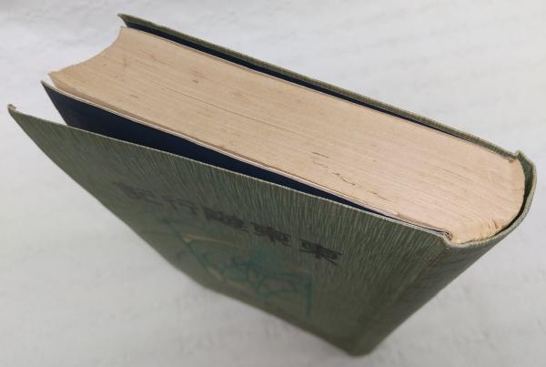【送料関税無料】 東京遊行記(大町桂月 古本、中古本、古書籍の通販は「日本 / 著) 文化、民俗