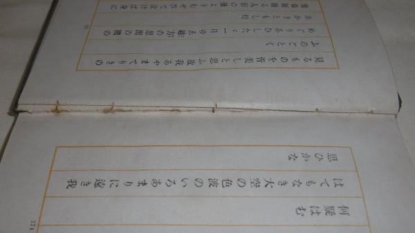 柳原白蓮の生涯 愛に生きた歌人(宮崎蕗苳(監修)) / 古本、中古本