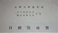 行者杉