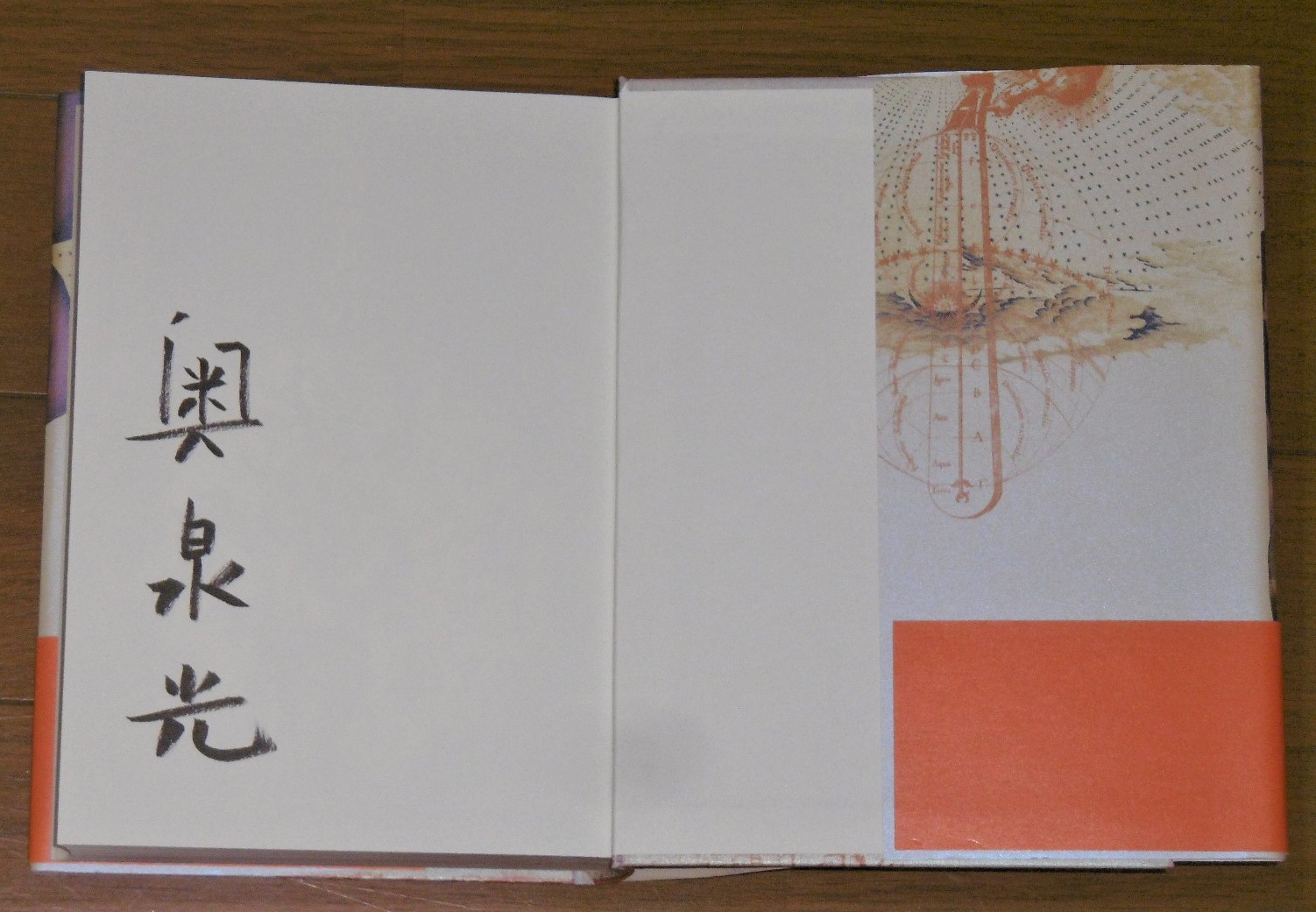 512VdUrSWyL._AC_UF1000,