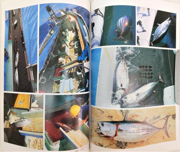 鰹人海：「土佐のカツオ漁業史」別冊 / 古本、中古本、古書籍の通販は 