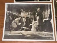 ロビーカード(スチール写真)　5枚　映画　「太陽に背く者」　杉浦直樹/志村喬/千之赫子/田中絹代…他