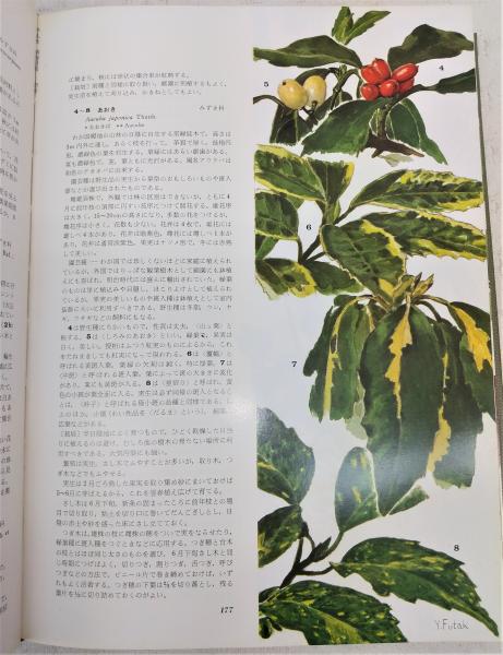 原色図譜園芸植物：露地編(浅山英一、太田洋愛、二口善雄