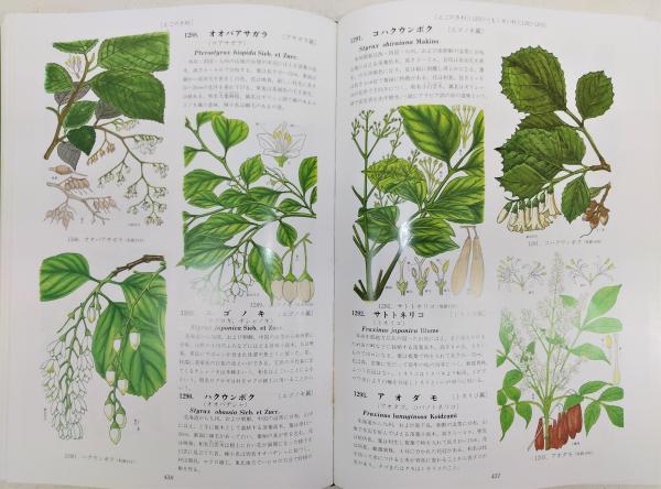 原色牧野植物大図鑑