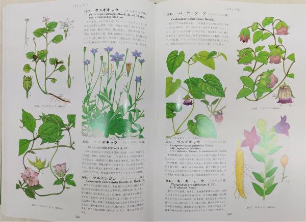 原色牧野植物大圖鑑+原色牧野植物大圖鑑・続編+新訂学生版牧野日本植物図鑑