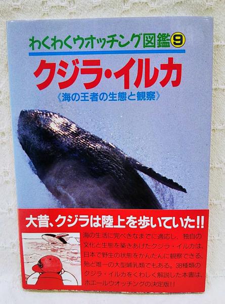 クジラ イルカ 海の王者の生態と観察 加藤秀弘監修 古本 中古本 古書籍の通販は 日本の古本屋 日本の古本屋