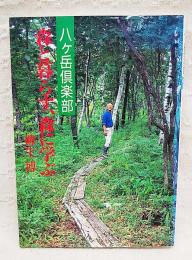 森と暮らす、森に学ぶ : 八ケ岳倶楽部