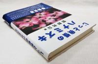 じっと我慢のハナミズキ : 草の根の国際関係論
